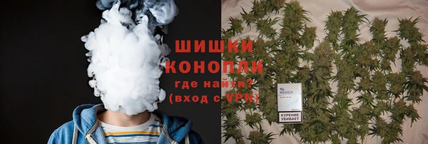 гидра Осинники