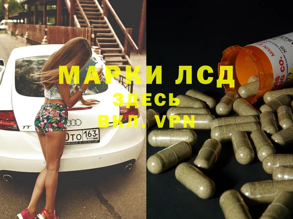 стафф Осташков