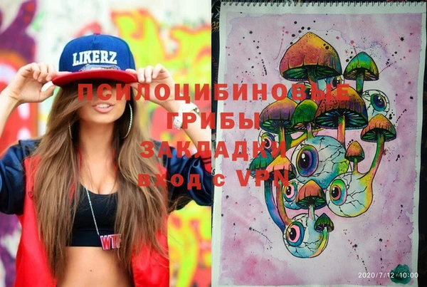 гидра Осинники