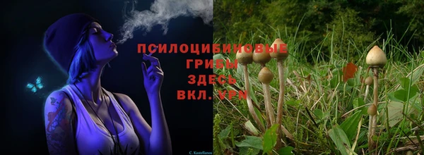 кокс Остров