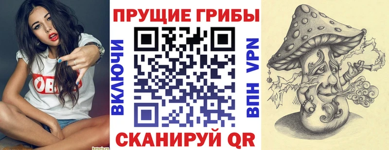 Псилоцибиновые грибы Psilocybine cubensis  Купить  Чаплыгин 