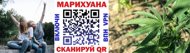 Купить  Чаплыгин  Каннабис конопля 