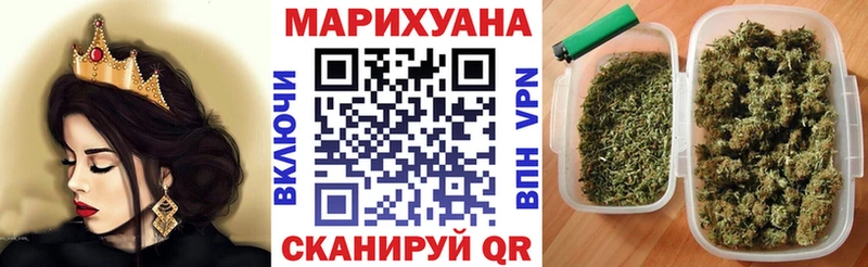 Бошки Шишки планчик Чаплыгин